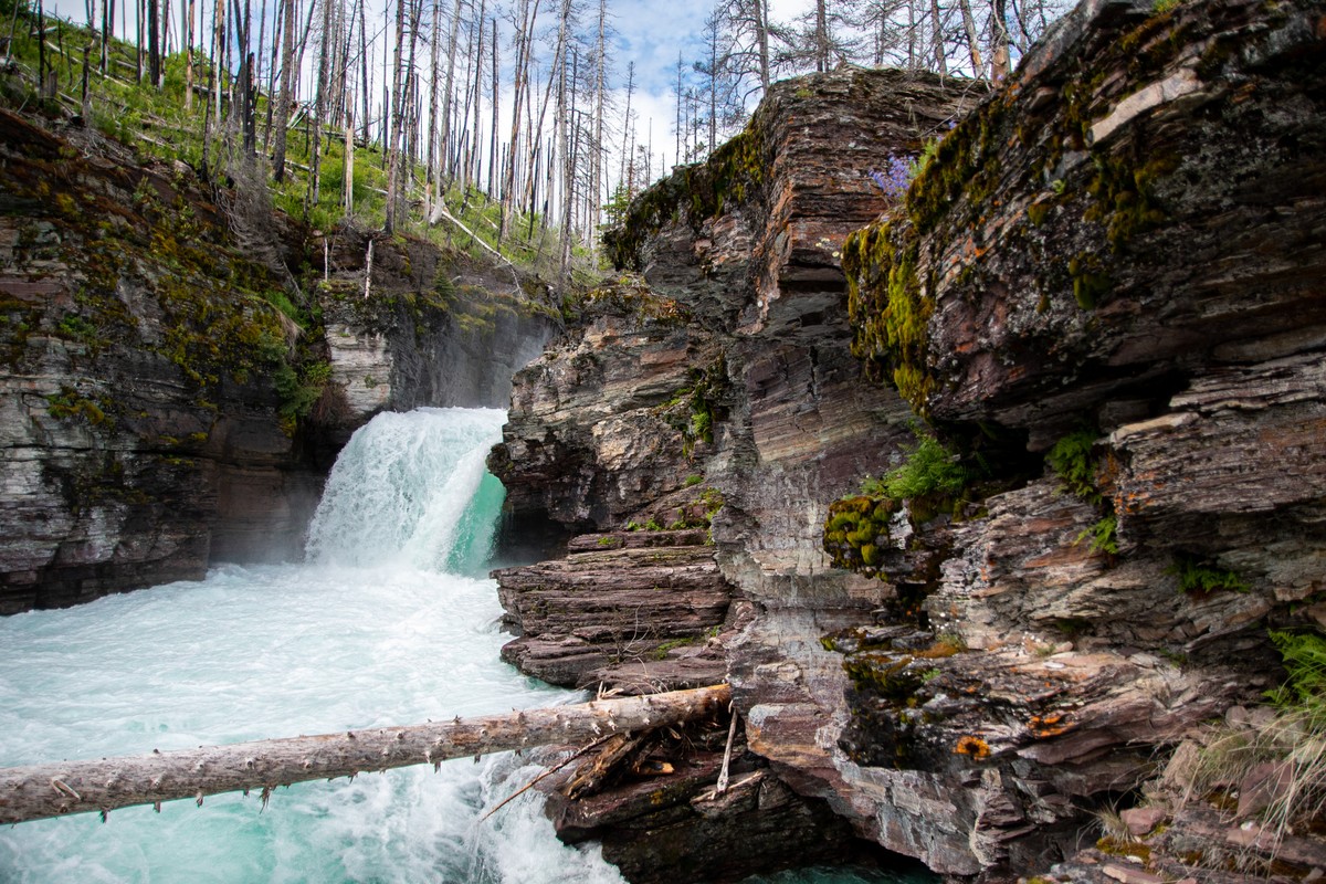 a waterfall in a forest