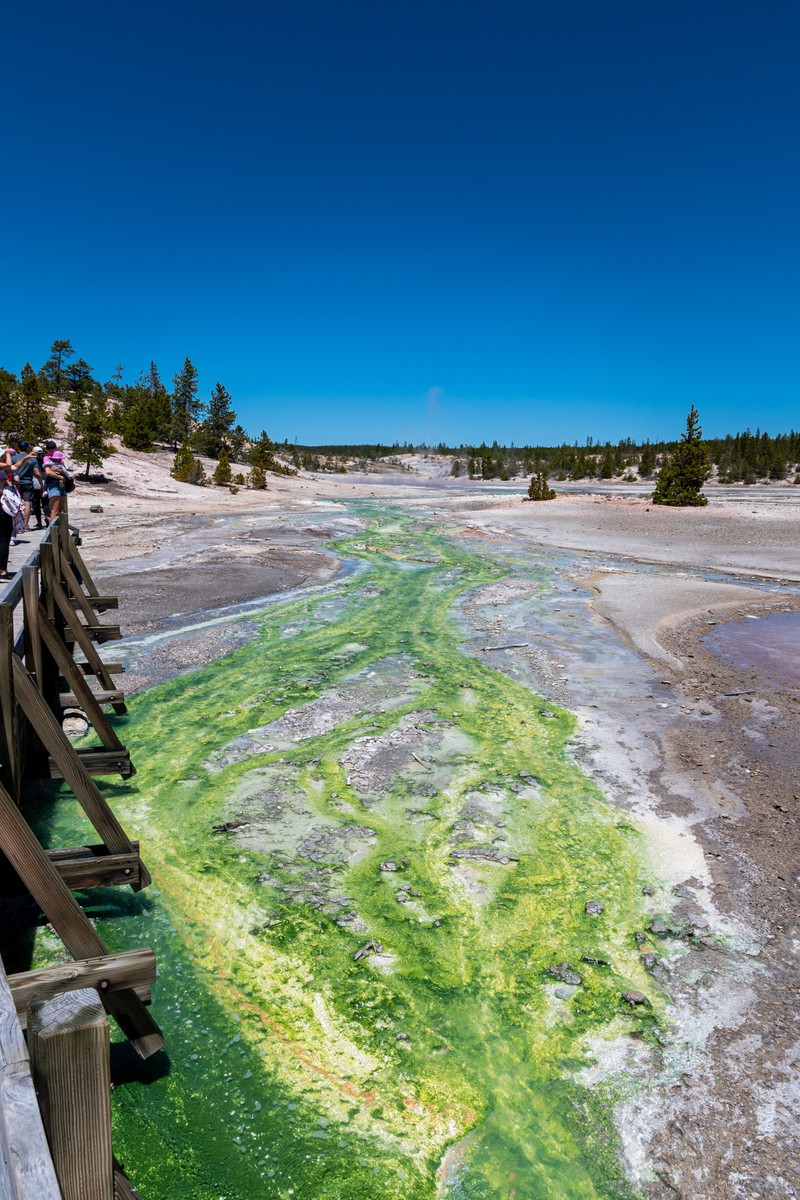 a large body of water with a bridge over it