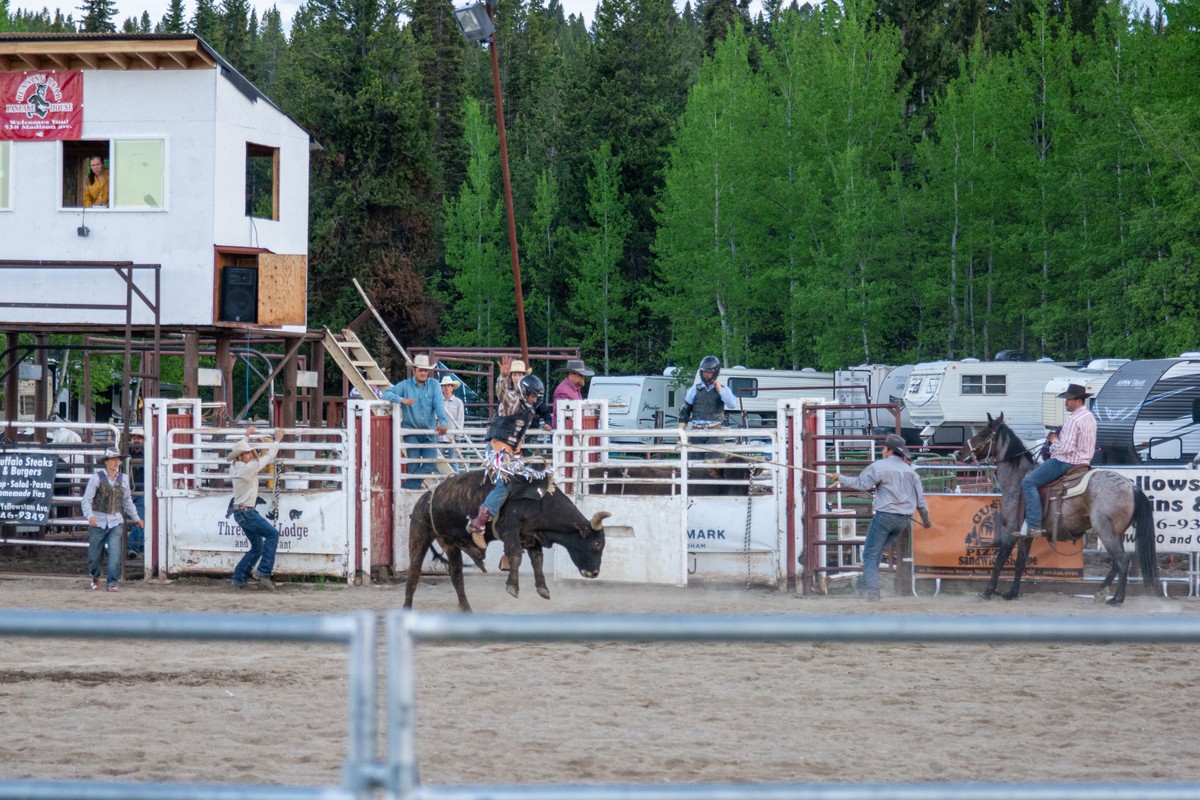 a person riding a horse in a rodeo