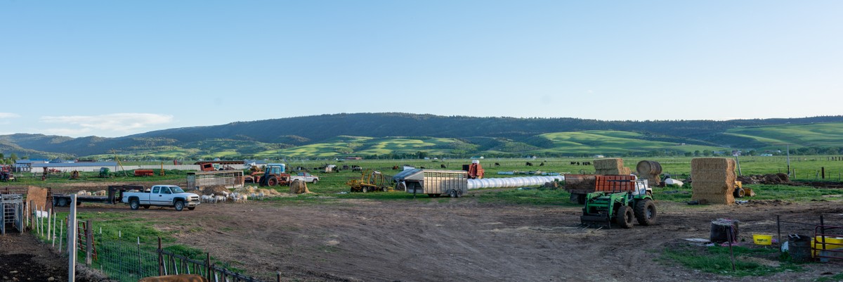 a car parked in a field