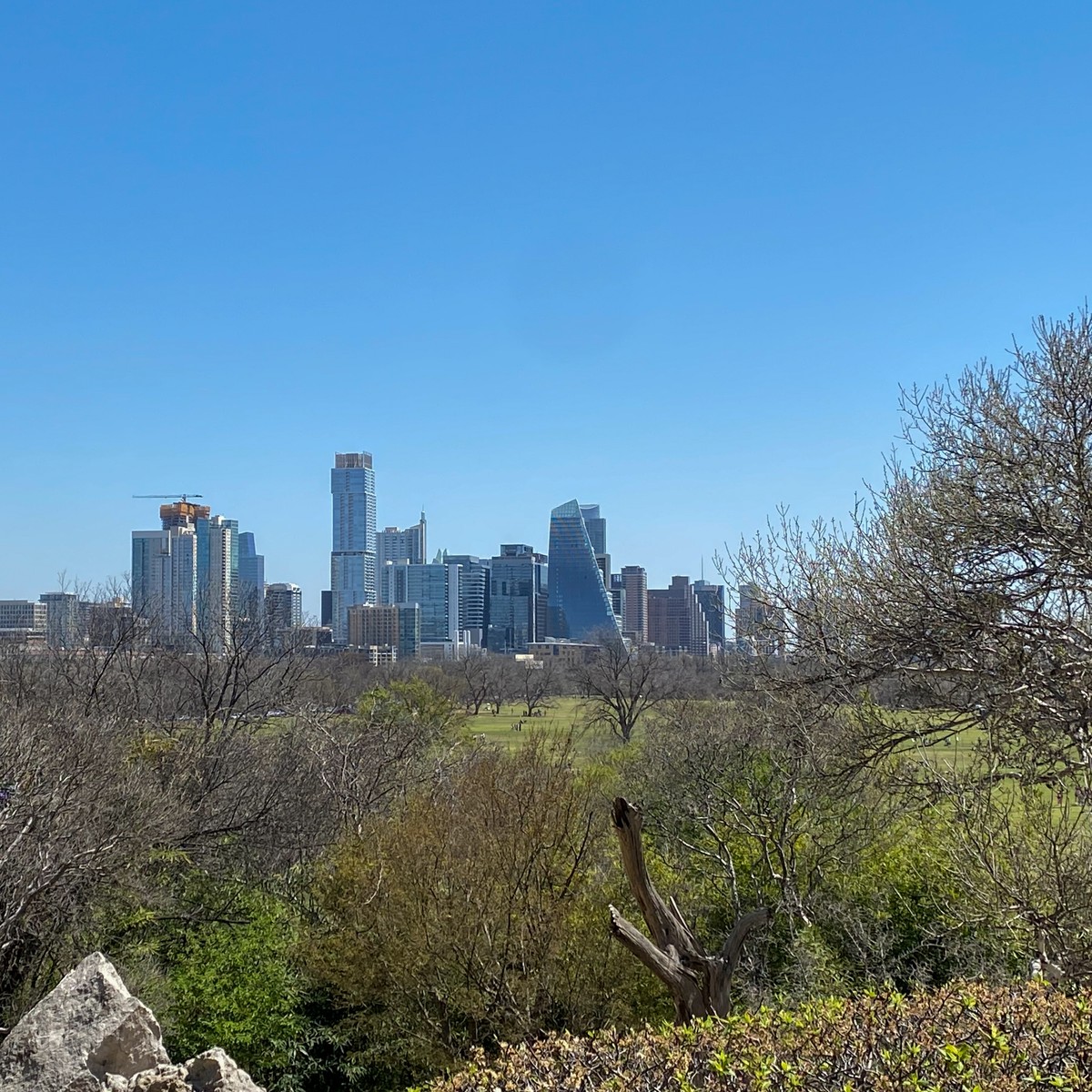 a city skyline with trees and bushes