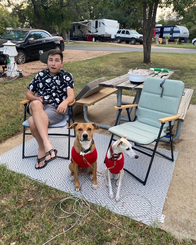 a person sitting outside with two dogs