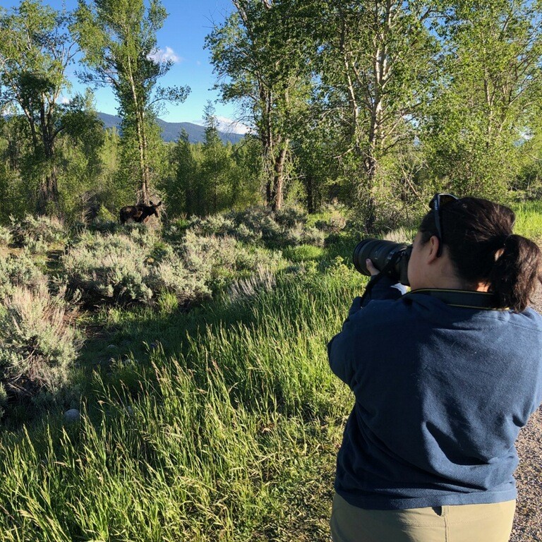 a person looking at a deer