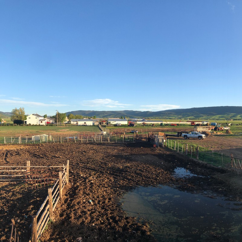 a farm with a pond