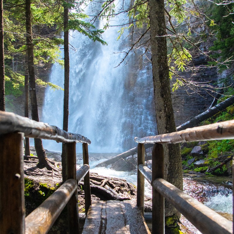 a wooden bridge over a river