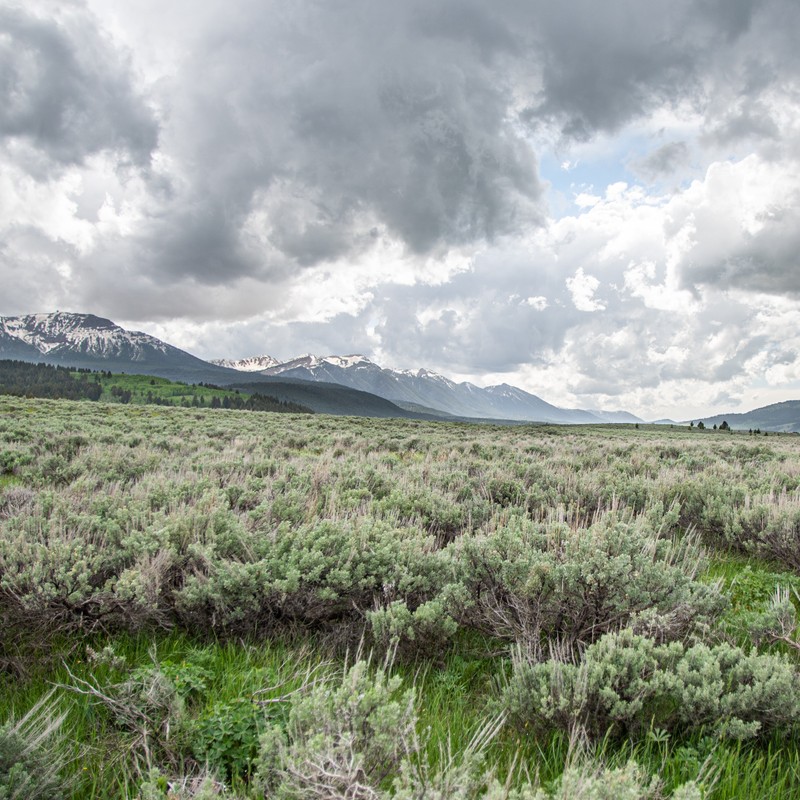 a landscape with mountains in the background