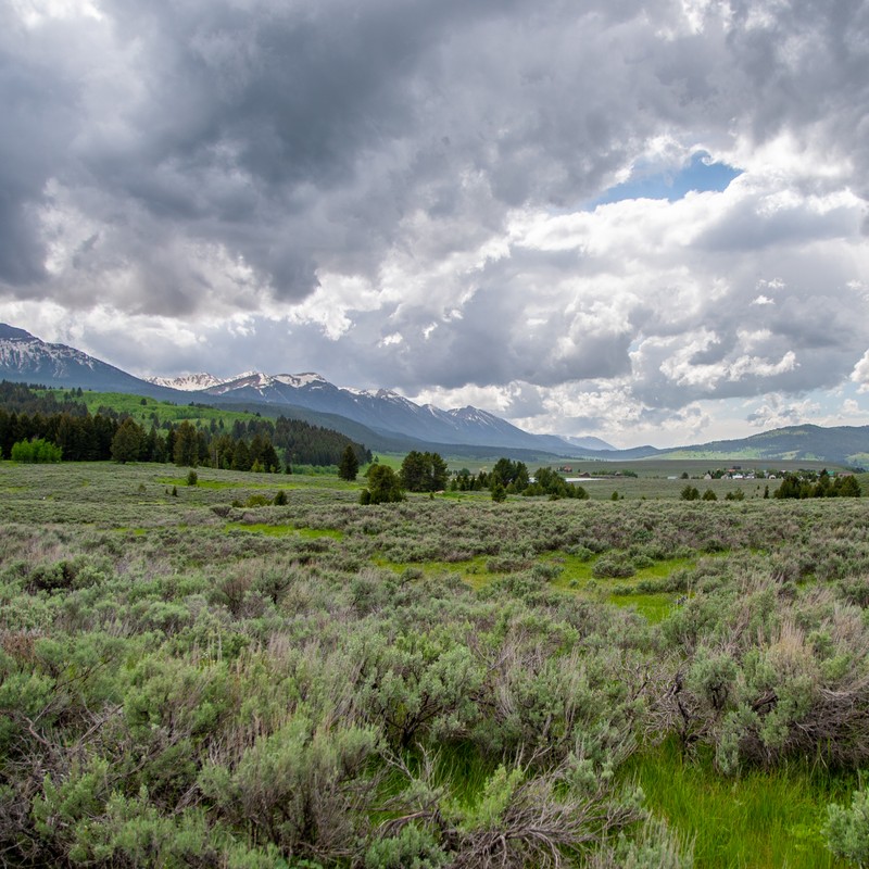 a grassy field with mountains in the background