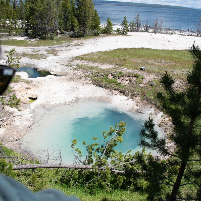 a body of water with grass and trees around it