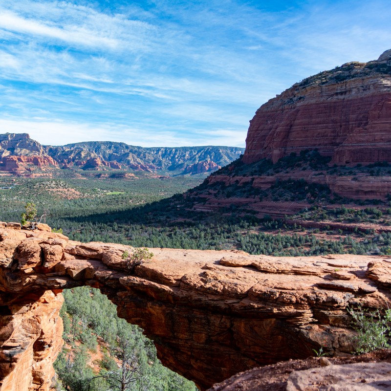 a canyon with a few trees