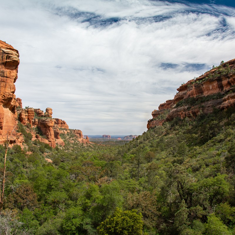 a landscape with trees and mountains