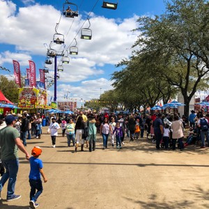a crowd of people at a fair