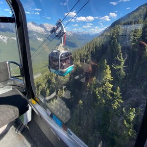 a cable car above a forest