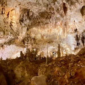 a rocky cliff with a cave with Carlsbad Caverns National Park in the background