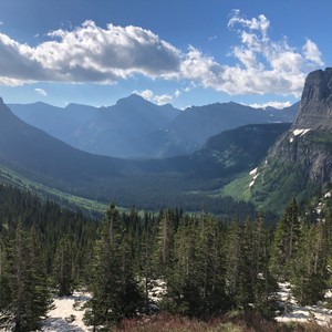 a landscape with trees and mountains in the back