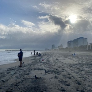 a group of people on a beach