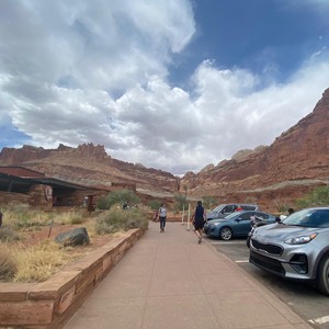 a group of people walking on a road with cars parked on the side