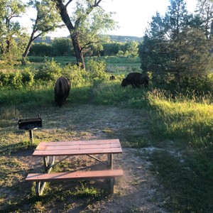 a picnic table and bench in a meadow