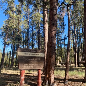 a sign in front of a forest