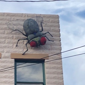 a large spider on a wall