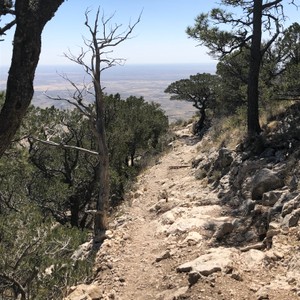 a rocky trail with trees and a body of water in the background
