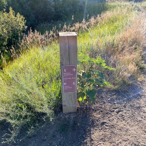 a sign on a post