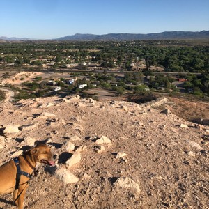 View from the stop of the hill in our campsite