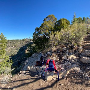 a group of people hiking