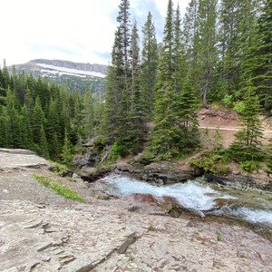 a river running through a forest