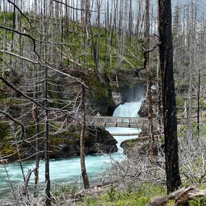 a waterfall in a forest