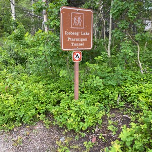 a sign in the woods