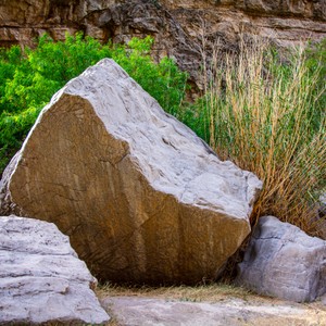 a large rock with grass growing on it