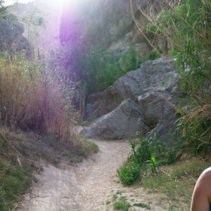 a dirt path with plants and rocks