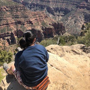 a person sitting on a rock ledge looking at a canyon