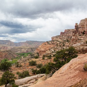 a rocky canyon with trees