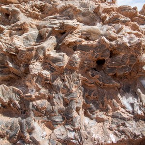 a close-up of a rocky area