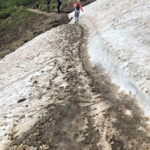 people walking on a path