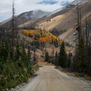 a road going through a valley with trees and mountains in the background