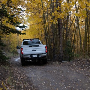 a white truck parked on a dirt road surrounded by trees