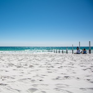 people sitting on a beach