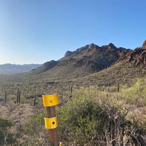 a yellow post in a field