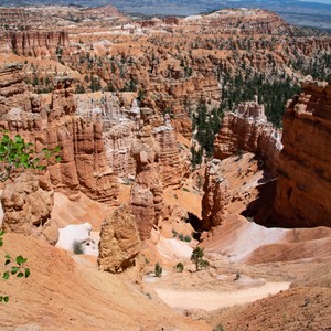 a rocky canyon with trees