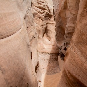 a close-up of a canyon