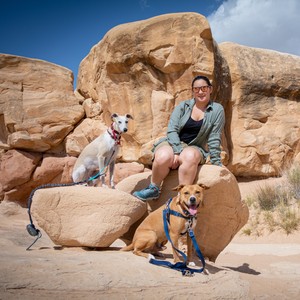 a man sitting on a rock with dogs