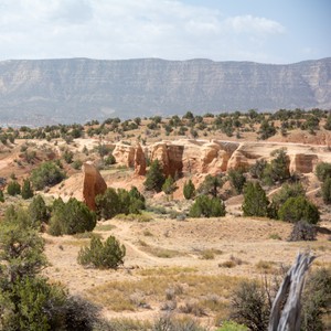 a desert landscape with trees and mountains