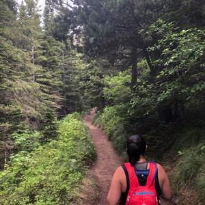 a person walking on a dirt path in the woods