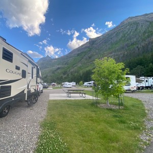 a group of rvs parked on a road with a tree and mountains in the background