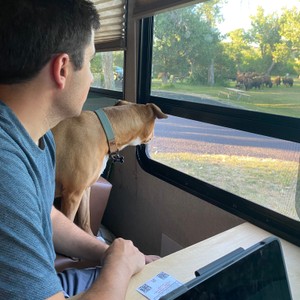 a man and a dog looking out a window