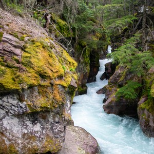 a river flowing through a forest