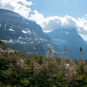 a mountain range with trees