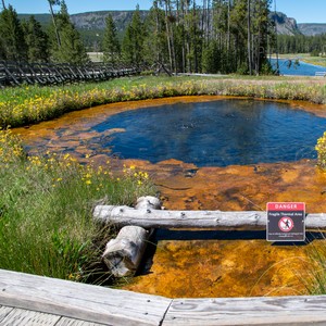 a pond with a log in it